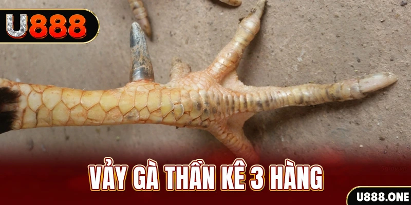 okvip nổ hũ đổi thưởng . ai