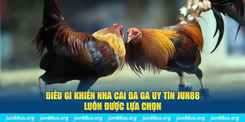 okvip bắn cá 30