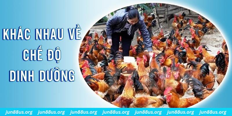 okvip xổ số thứ sáu hàng tuần