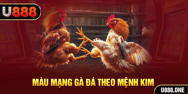 okvip gà chọi tiêu phong