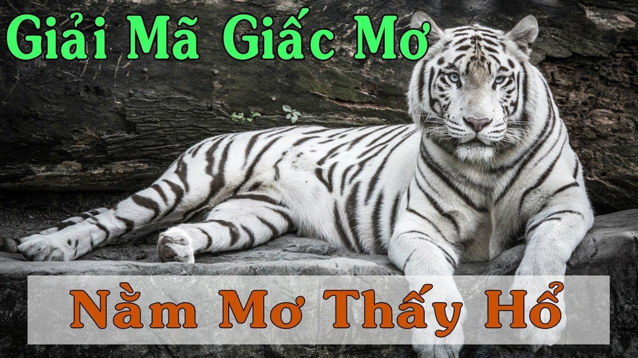 okvip xổ số miền trung