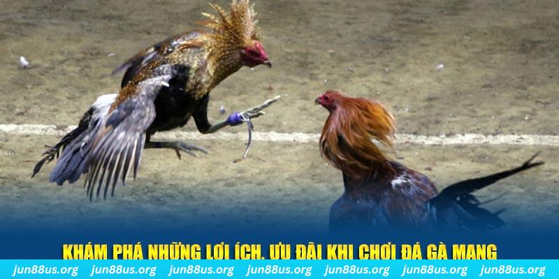 okvip Tài Xỉu 2