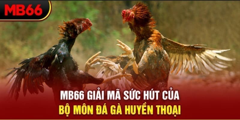 okvip long bảo trong baccarat là gì
