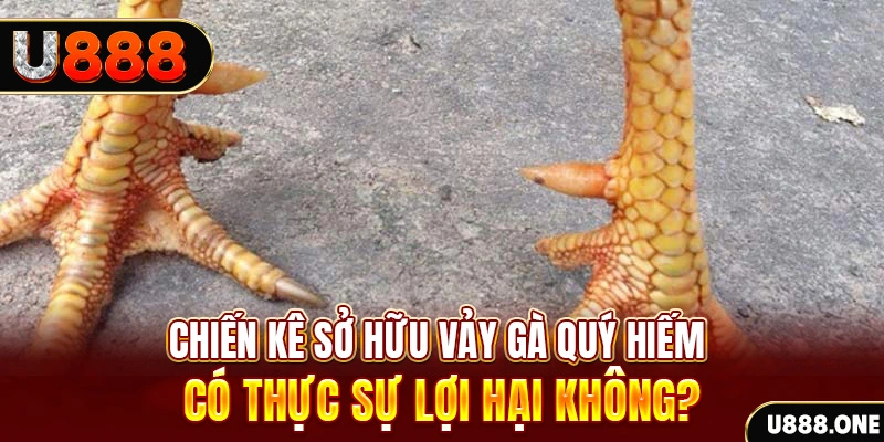 okvip game cá cược máy bay