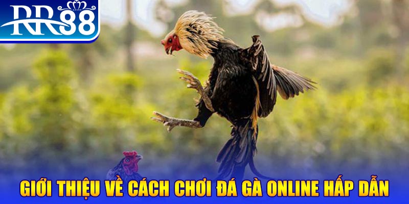 okvip nổ hũ 2 mặt là gì