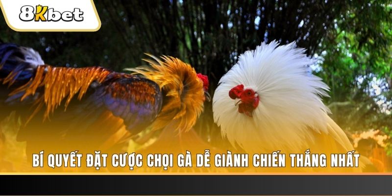 okvip may club nổ hũ