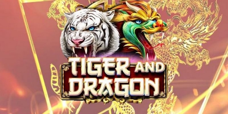 okvip cá cược tiếng anh là gì