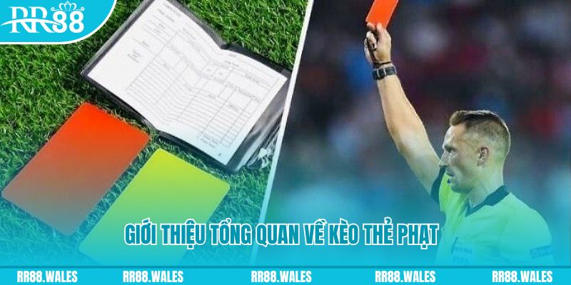okvip đá gà trực tiếp c1